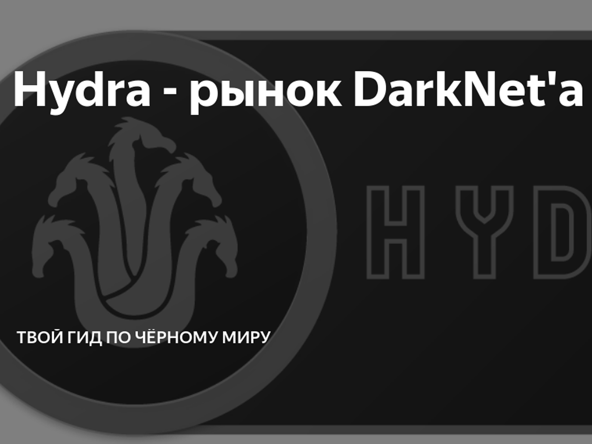 Кракен тор krakens13 at