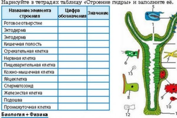 Ссылка кракен kraken torion net