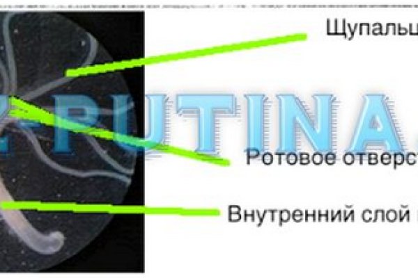 Кракен даркнет скачать
