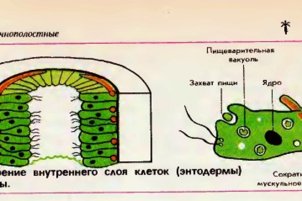 2krn cc кракен