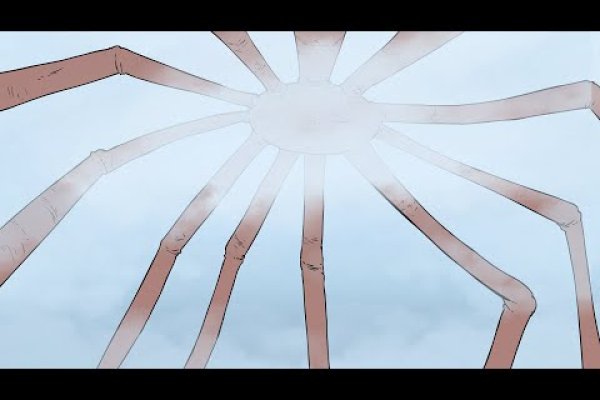 Kraken 20at