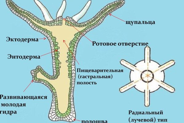 Сайт kraken в tor