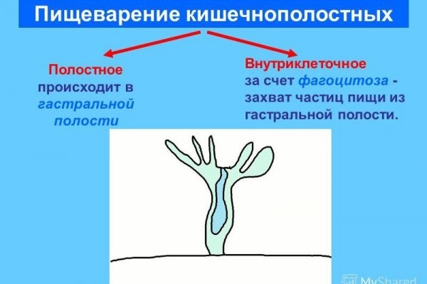 Кракен актуальные
