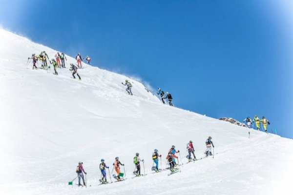 Kraken 14 at сайт