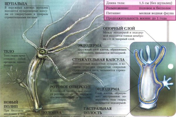 Ссылка на кракен шоп