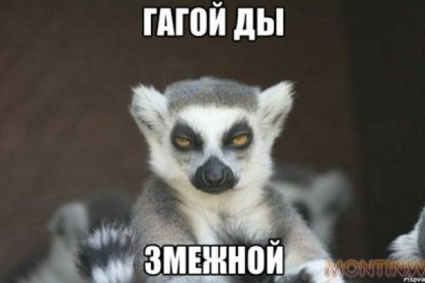 Кракен даркнет ссылка kraken link24 info