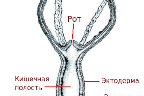 Кракен shop
