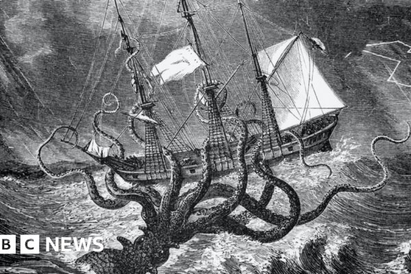 Kraken что это за магазин