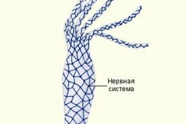 Kraken 26 at